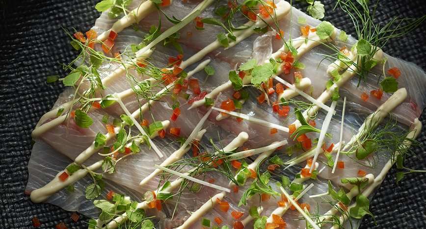 New Kingfish Ceviche